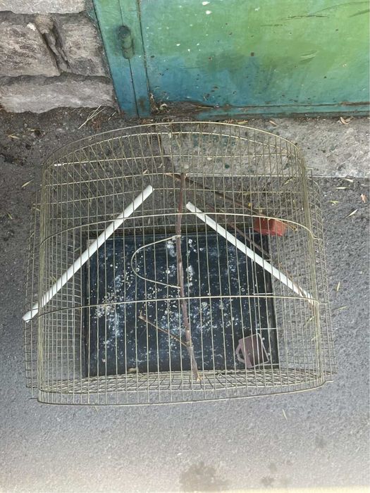 Клетка за папагал