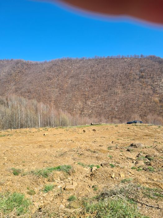 Teren intravilan 703 mp Valea Ierii PLOPI cu CF