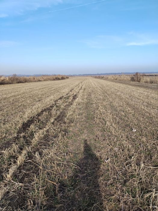 Продам землю К/Х