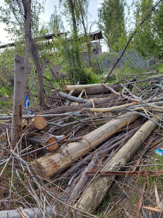 Terak 6 va 4  metrli qalinlari sotiladi