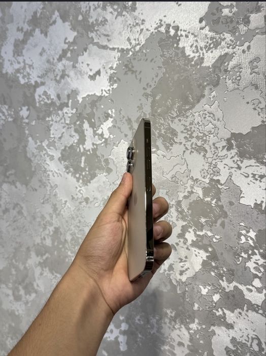Iphone 13pro max