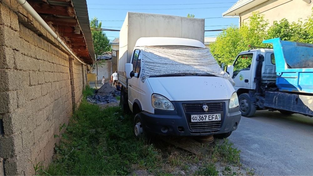 Gazel sotiladi газел сотилади