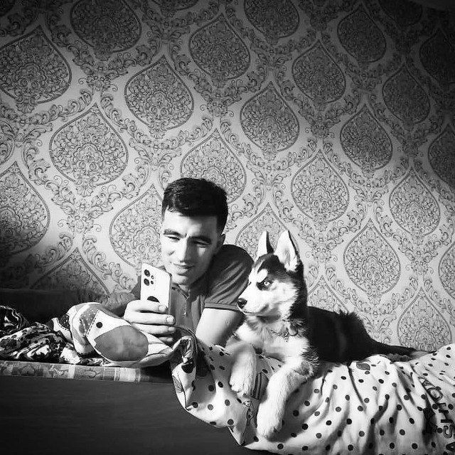 Qoʻlga oʻrganga sogʻlom