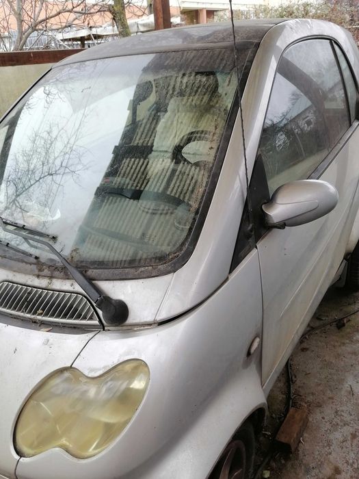 SMART 250 motorina cu 2 locuri