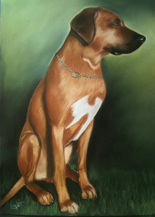 Рисувам портрети.Подарък за сватба,рожден ден и други поводи.