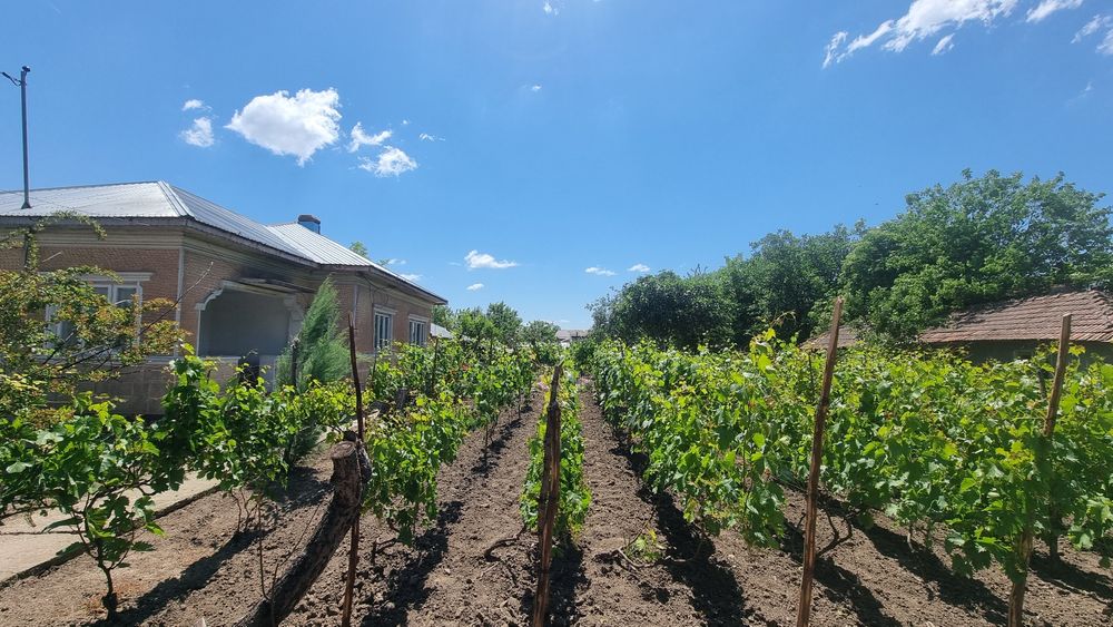 Casa de vanzare Chirnogi - (Oltenita)