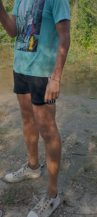 Servicii de plimbări câini de talie mică