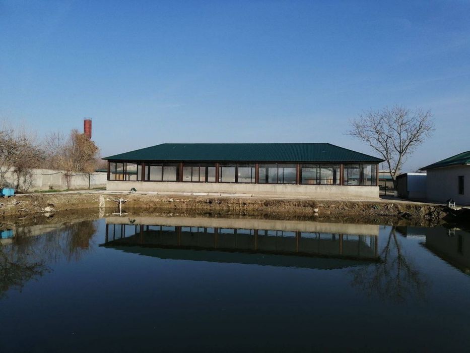 Продается загородный дом со всеми удобствами площадью 1га