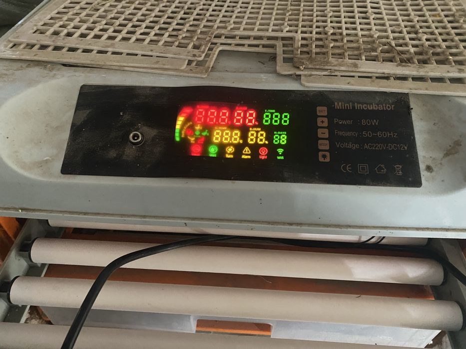 Инкубатор продам