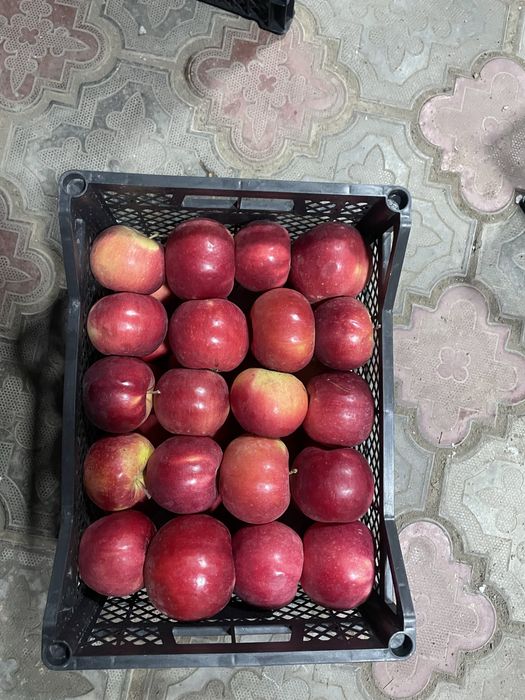 В продаже яблоко айдаред