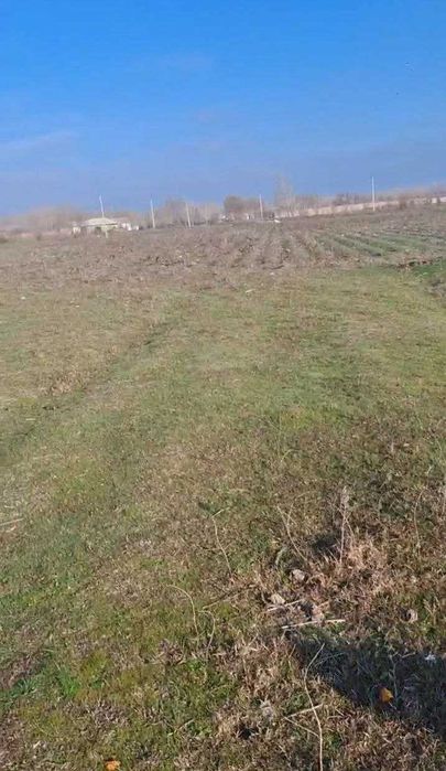 N.12895  Ер  майдони Чорвачилик бизнеси учун!