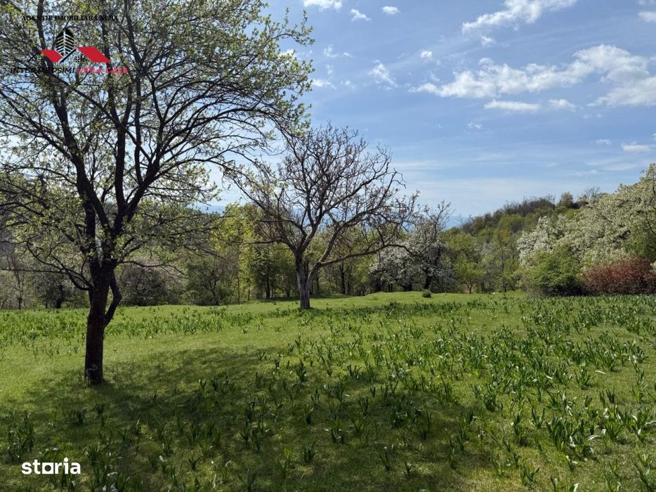 Teren intravilan 8330 mp de vanzare in Inuri Jud Alba