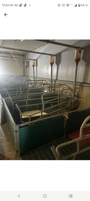 Boxe de fatare , maternitate scroafe