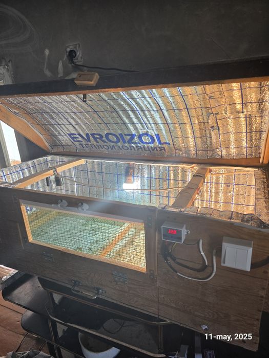 Bruder брудер жужалар учун