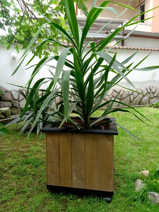 Декорация за дома -КАШПИ.