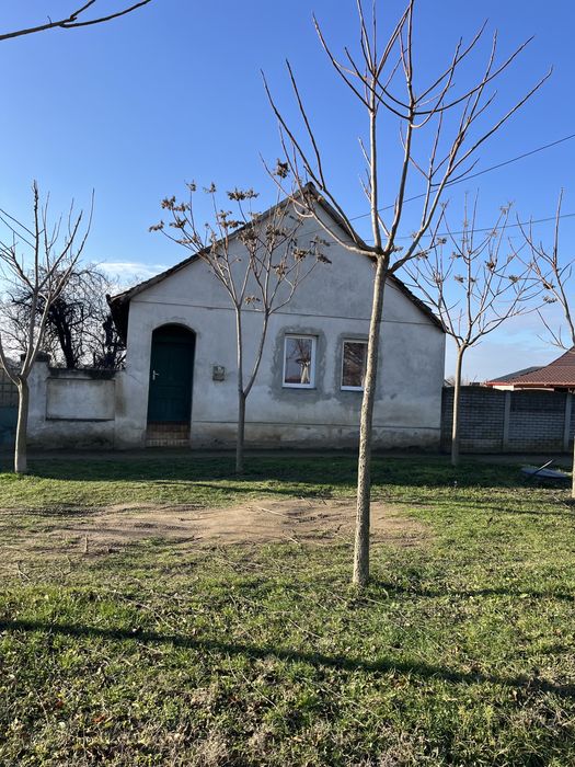 Casă cu teren generos in Pădureni