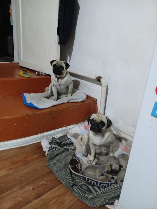 Месячные девочки около 70 пацаны 50