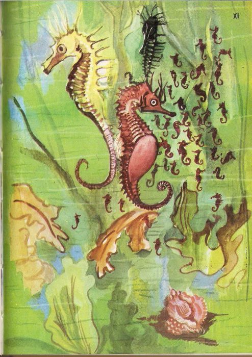 Am intilnit animale cu obiceiuri curioase - Acad. Eugen A. Pora