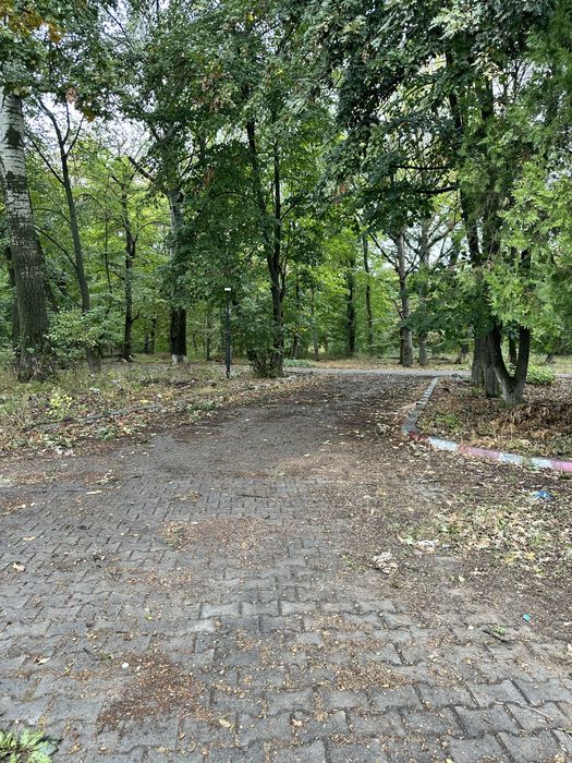 Teren 500mp Padurea Snagov/Complex Astoria