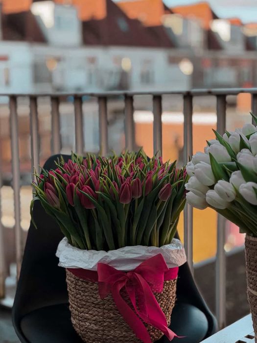 Тюльпаны в кашпо