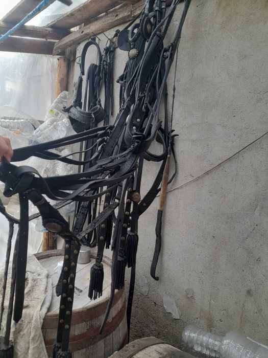 De vanzare ham complet,haturi si capitala constanta