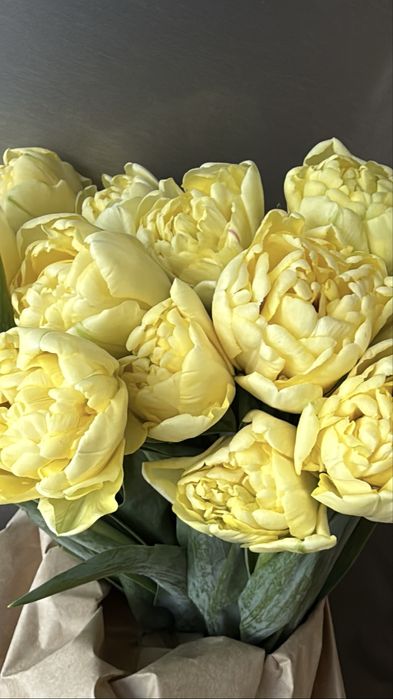 Пионовидные тюльпаны