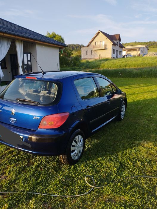 Vand Peugeot 307