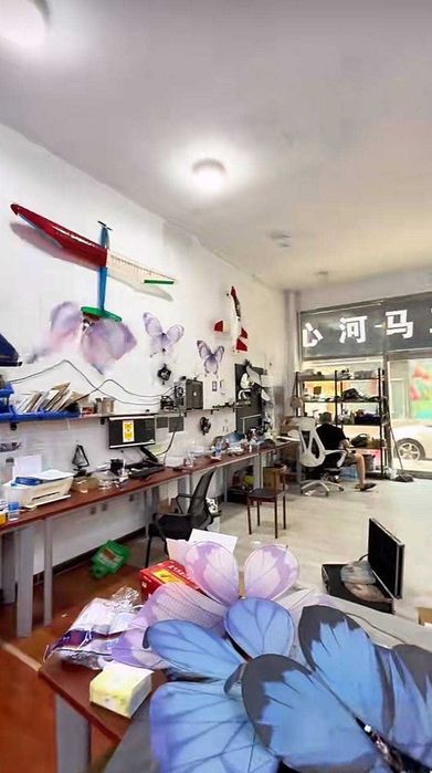 Летающие волшебные бабочки на ЗАКАЗ