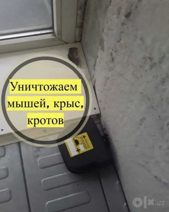 Дезинфекция 100% результат | опыт 10 лет | Низкие цены с гарантией