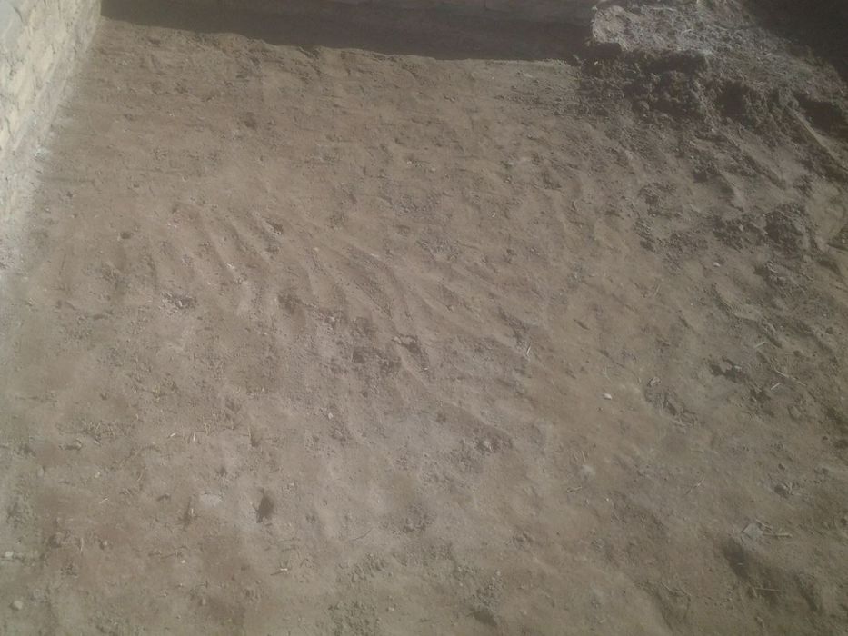 Жой Урни Янгиарик Центрда