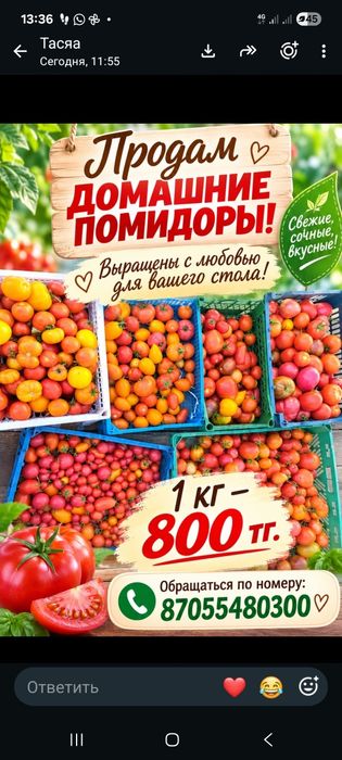 Домашние помидоры