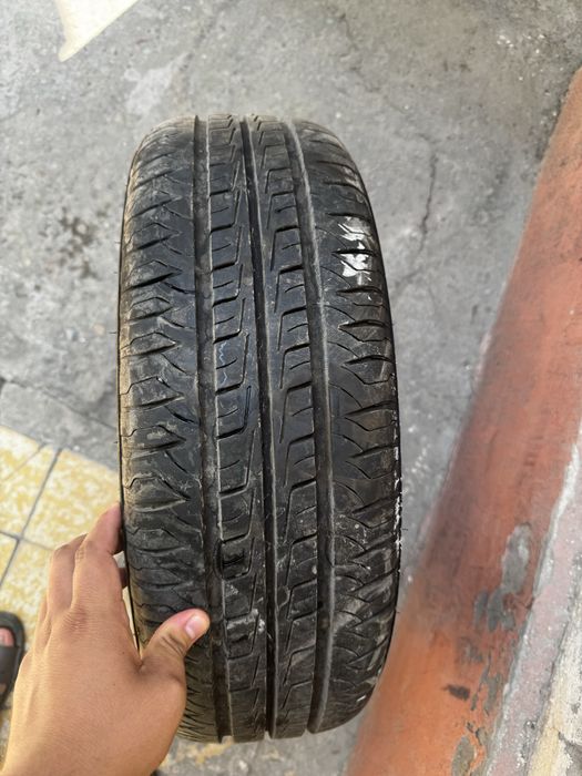 R16 BVD seagull Deskasi Teshigi 4/100