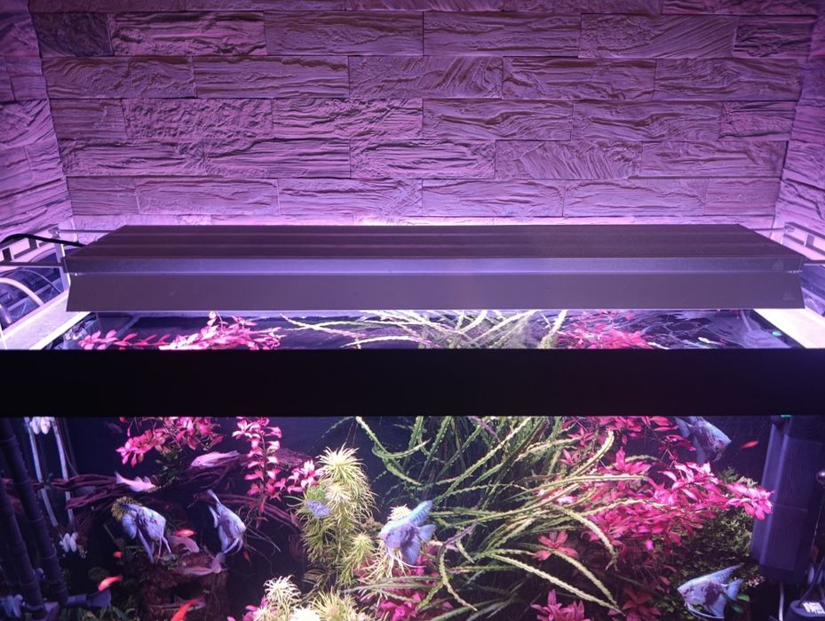 Аквариум полная комплектация