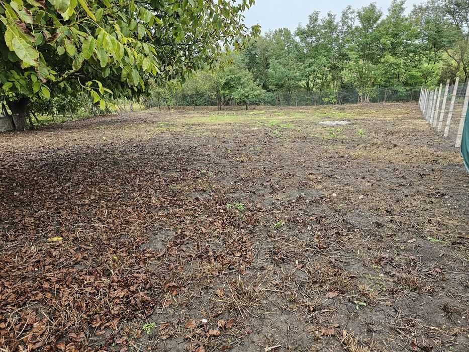 Casă de vânzare în comuna Cucerdea, judetul Mureș