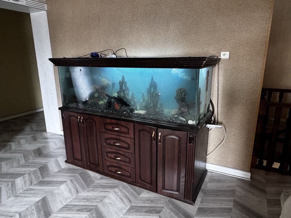 Аквариу 700 литров с тумбой, продается есть торг