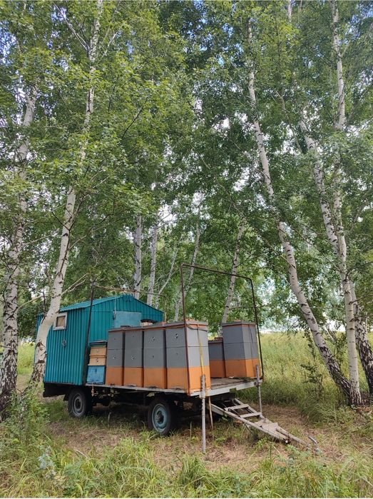 Продам Мед с собственной пасеки