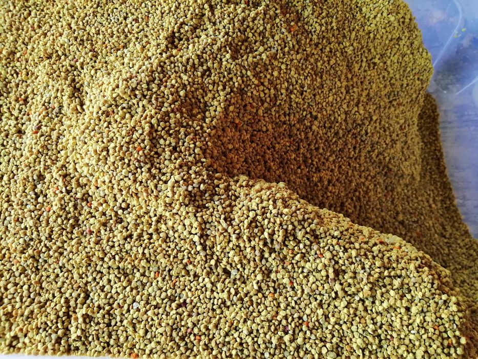 Polen crud, congelat 60 lei/kg Livram sambata in Bucuresti