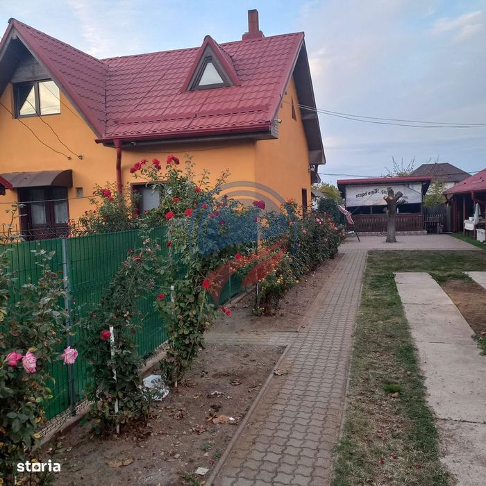 Casa in localitatea Zanoaga- Dolj