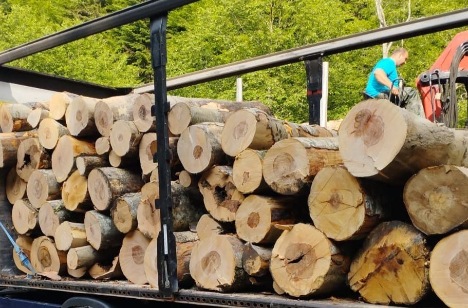 Lemn de foc EN GROSS la nivel de tir