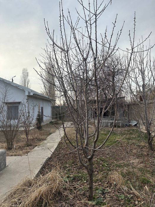 Продаётся Дача в посёлке Азатбаш 70000$