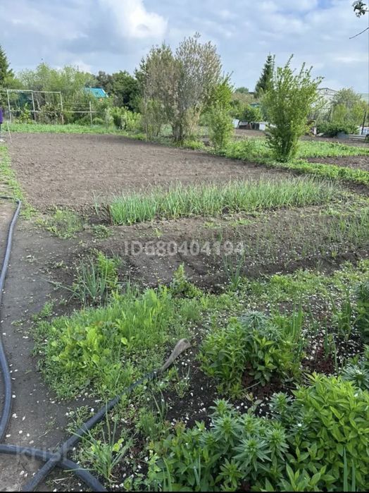 Продам дачный участок с домиком