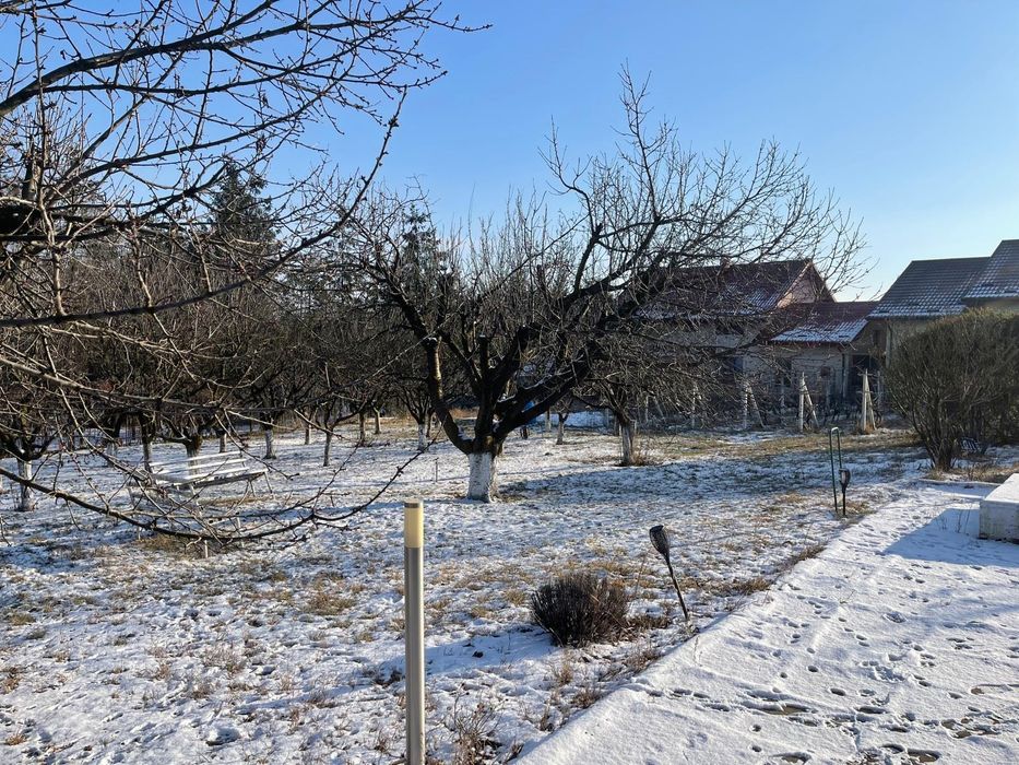 TEREN INTRAVILAN 3475mp + CASA 2003 - VASLUI - zona Moara Grecilor