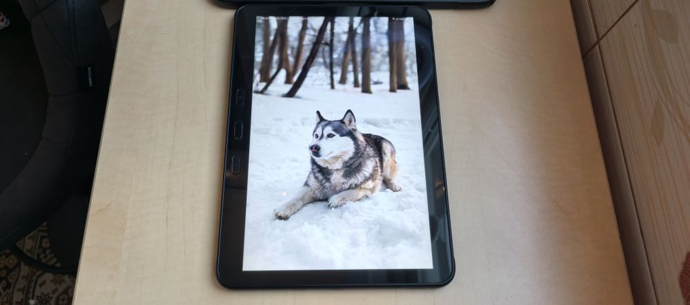 Samsung Galaxy Tab Active PRO 10.1"cu SIM 4G_64GB_4GB RAM+HUSA_ca NOUA