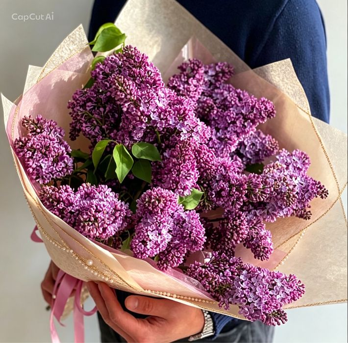 Свежая сирень, красивые