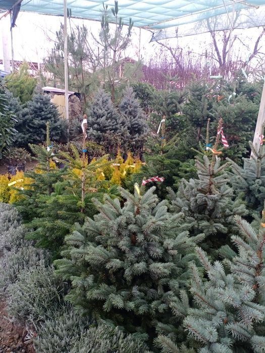 Гарантия качество