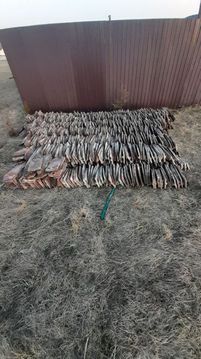 Țiglă solzi ff bună 1 un leu.