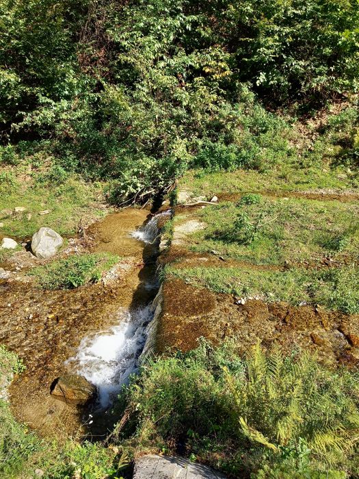 Teren de cabana pe Valea Recii( sat Strungari)