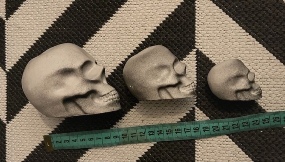 Set cranii handmade