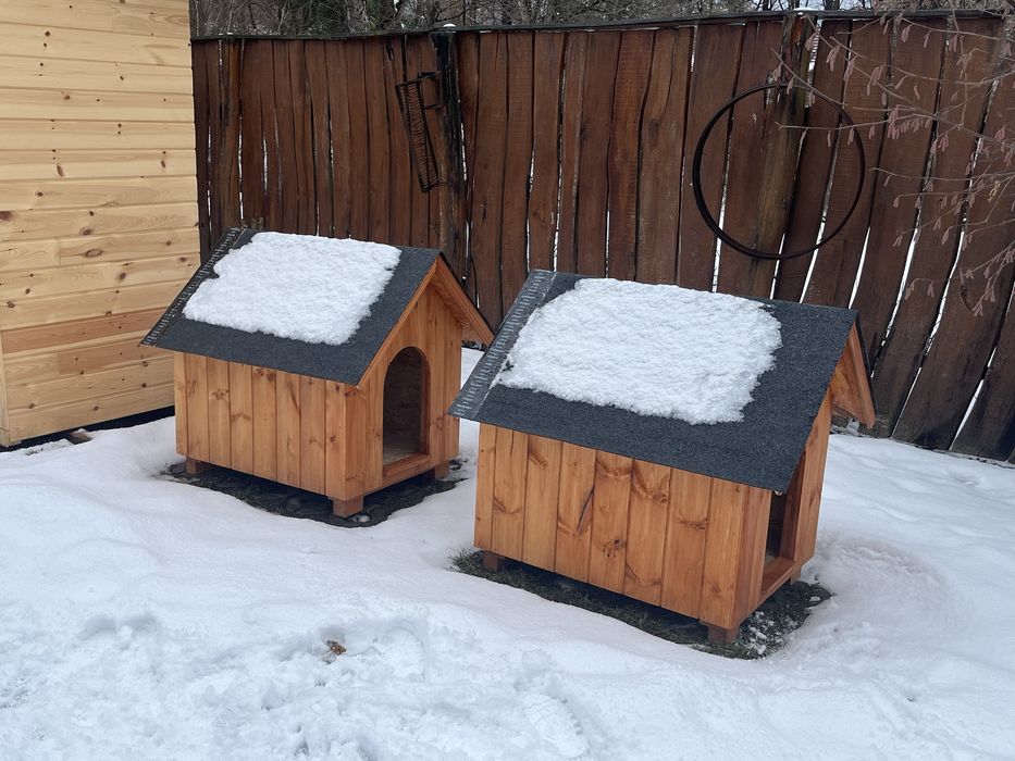 Cusca de caine, mai multe marimi