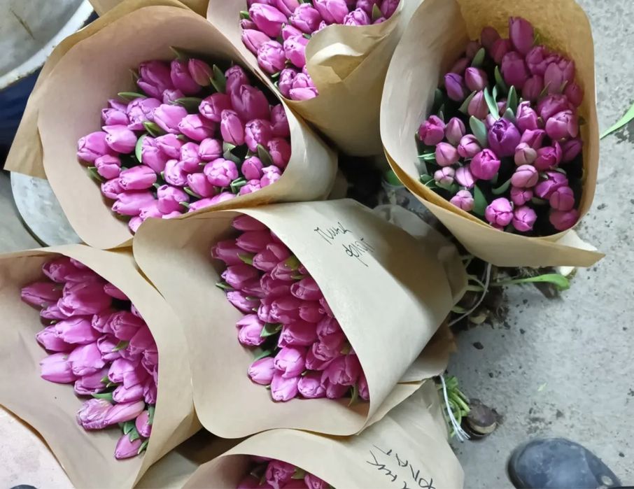 Предзаказ тюльпанов к 8 марта